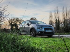 blue citroen on green grass field during daytime
