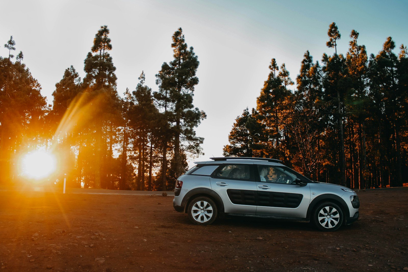 grey and black citroen SUV across trees