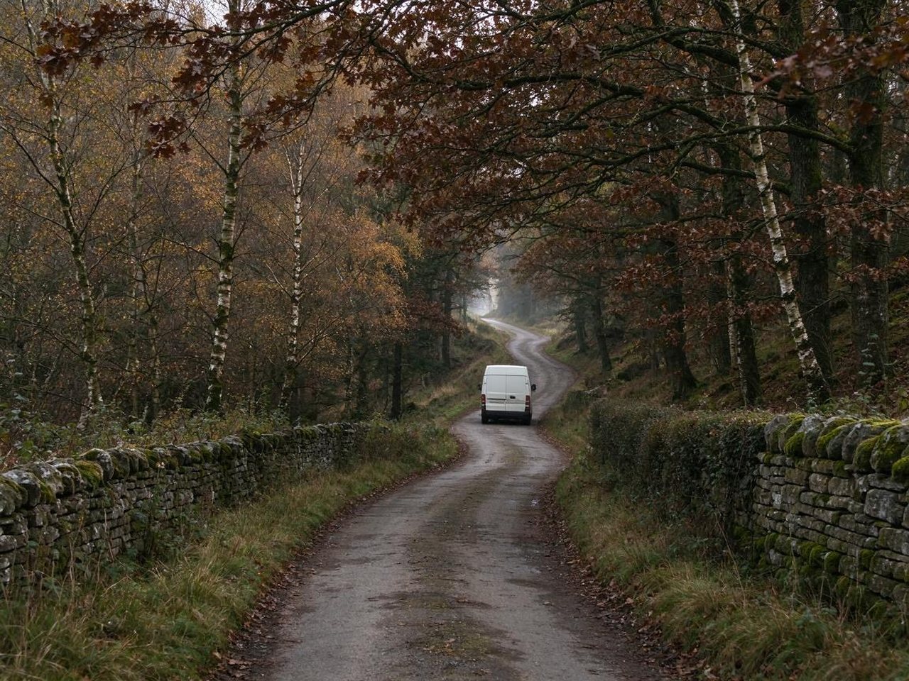 White van on a narrow wooded lane through the Staffordshire Moorlands near Cheadle